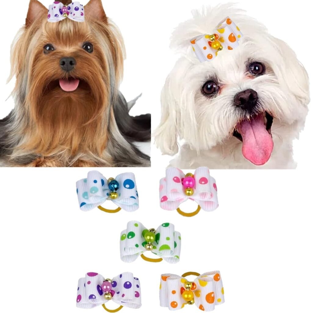 accesorios yorki